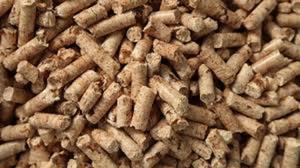 PREMIUM QUALITY HAY WOOD PALLETS MANUFACTURER/EXPORTER - Product Image 3