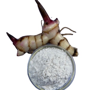Poudre d'amidon de racine d'arrowroot pure, sans gluten, qualité alimentaire naturelle, 50 kg/sac, durée de conservation de 24 mois, vente en gros - Product Image 1