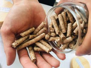 Pellets/Varillas de Madera de Biomasa de Vietnam, Provenientes de Aserrín, 2% de Cenizas, 5% de Humedad, Densidad de 600-800 kg/m, Gia Gia Nguyen 4700J - Product Image 6
