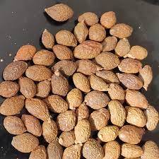 Venta al por mayor de tuercas de MALVA de VIETNAM, 84 37 428 8086 - Product Image 5