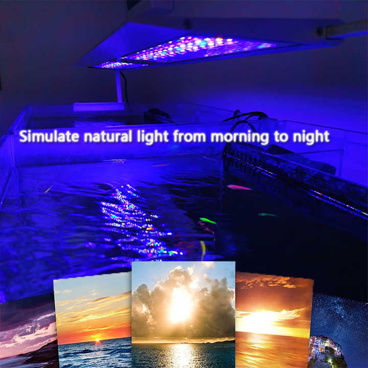 MICMOL G3 AQUA Air900LEDライト＋Bluetoothセット MICMOL G3 AQUA Air900LEDライト＋Bluetoothセット