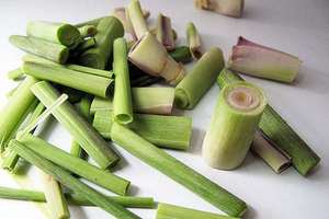 VDELTA <b>LEMONGRASS</b> SLICES FOR PACKAGING FROM VIETNAM - Product Image 5
