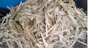 Bloque de Residuos Agrícolas de Bagazo y Caña para Agricultura Sostenible, Marca GIA GIA NGUYEN CO. LTD Vietnam - Product Image 4