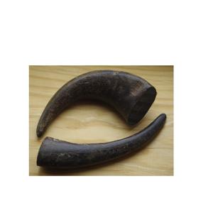 Pointes de corne de buffle noire à vendre Fabricant de pointes de corne de buffle et pointe de corne naturelle polie à la main - Product Image 2