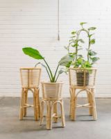 Support de plante en rotin pour décor à la maison jardinière en rotin du Viet Nam support de pot de canne en matériau naturel + 84947900124