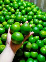 Vietnam Verse Lime Pitloze/Groen Circus Fruit/Verse Groene Citroen Pitloze + 84986778999 David