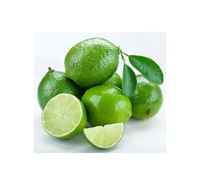 Lemon Hijau Segar Asia/Lemon Tanpa Biji Hijau Segar untuk Pasar Singapura