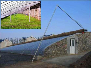 Serre photovoltaïque à chauffage solaire FUMA en promotion avec système d'irrigation - Product Image 4