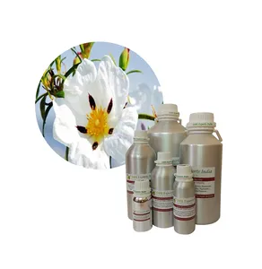 Labdanum 절대 Cistus ladanifer 도매 가격