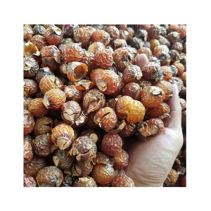 ¡Caliente! ¡Caliente! Soapnut-jabonera a granel, saponina, buena calidad - Product Image 5