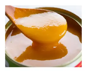 Pureza de suco mango/polpa-mango de alta qualidade para atacado (lee: + 84987731263)