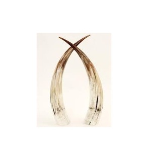 Corne décorative de buffle et support de base en laiton artisanal meilleure corne décorative de paire de buffle pour vaisselle à bas prix - Product Image 6