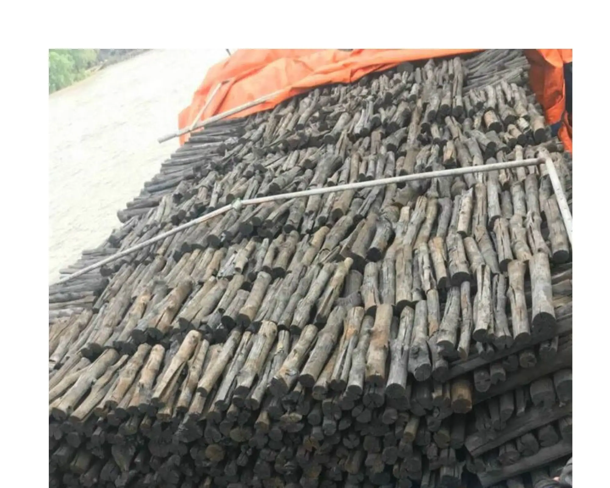 wholesale 100% natural mangrove wood Vietnam MANGROVE CHARCOAL/bbq briquette Barbecue (BBQ) clean charcoal best price TERESA VU