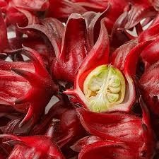 โรเซลล่า แยม โรเซลล่า ฮิบิสคัส ซาบดาริฟฟา คุณฮอลิเดย์ - Product Image 3