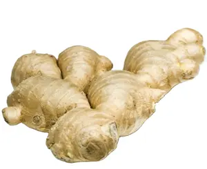 GINGER FRESCO 10KG/CAIXA DO VIETNAME COM BARATO PRICE--HP 0084 917 476 477