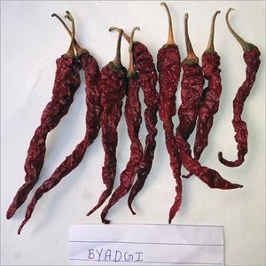 Teja-S-17 de chili rojo, sin tallo - Product Image 4