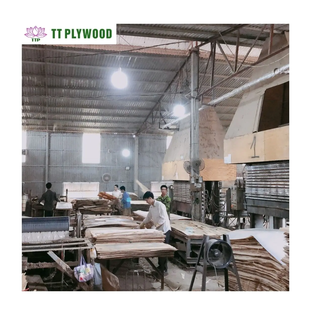 Bamboo Plywood Sheet Below 18% Acacia Eucalyptus Industrial Third Class Grade Packing Plywood From Vietnam
