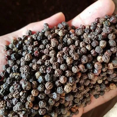 Tingkat Terbaik Lada Hitam Anise Bintang Kayu Manis Semua Jenis Rempah dari Anggrek Phalco King Pepper Vietnam Whatsapp 84327008393