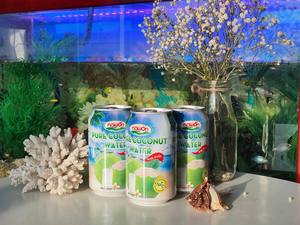 Agua de Coco Enlatada NAWON de 500 ml, Recién Exprimida, Sin Azúcar Añadido, 40 Brix, Vida Útil de 24 Meses, Fabricante de Bebidas con Certificación HACCP y BRCGS - Product Image 6