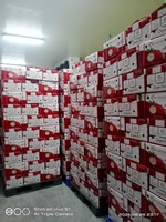 Vietnam 'S Best Verkochte Rood/Witte Drakenfruit, Verse Producten, Rechtstreeks Van Bron (David Director Mobile/Wa 84986778999)