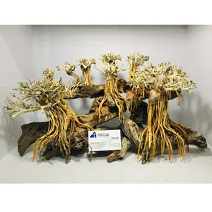 Bonsai Driftwood per Discus Fish Aquarium Tank Decoration & accessori per acquari acquario WhatsApp: + 84 961005832