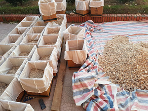 ยางเบนโซอินสยามแท้ คุณภาพพรีเมียม ผลิตจากเวียดนาม/ ยางเบนโซอินคุณภาพสูงสำหรับน้ำมันหอมระเหย / ชินทราน +84382089109 - Product Image 6