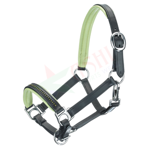 New Handmade Comfortable Durable Horse <b>Halters</b> Adjustable Average Padded Leather Head Collar Halter for Riding - Product Image 6