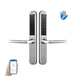 Door Lock High Security Ttlock APP BLE Wifi Control Electronic Smart Fingerprint Keyless Sliding Aluminum Stainless Steel Cloud