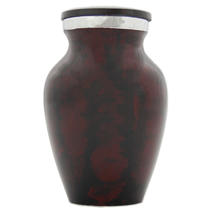 Urna de Metal Plateado con Grabado de Hojas Pequeño Recuerdo de Cremación de Latón para Cenizas de Adultos o Mascotas para Decoraciones Funerarias - Product Image 2