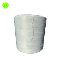 Fil de surjet de polyester 150D 300D fil blanc brut