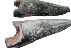 Pez espada DWT Xiphias Gladius, pescado a granel, alto grado nutritivo, bajo en grasa, pescado congelados, pesca salvaje con certificado HACCP GMP - Product Image 3