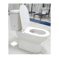 Wolf Standard 2 pièces WC siège de toilette taille standard 760X360X755mm céramique sanitaire prix d'usine indien