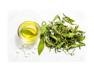 STEVIA Chiết Xuất Lá Khô Giá Bột Với Số Lượng Lớn//Rachel: + 84896436456 99 Dữ Liệu Vàng