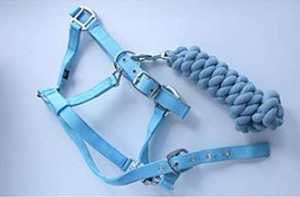 Cabestro de caballo ligero más vendido, polipropileno de polietileno con parte superior acolchada de nobuk, accesorio de nailon, herrajes de hierro, estilos occidentales en inglés - Product Image 4