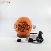 Venta al por mayor Top Trending 3D Mini USB lámpara de sal del Himalaya en forma de árbol de la vida hoja de madera personalizada para la decoración del hogar regalo de Navidad