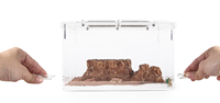 Fourmilière Classique Personnalisée Empire Ants en Plastique – Conteneur d'Élevage pour Fourmis – Fournitures Écologiques pour Fourmis 20x15x12cm – Décoration de Chambre Toutes Saisons