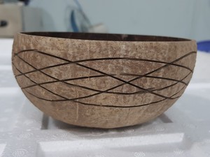 Tốt nhất bán Chất lượng cao dùng một lần vỏ dừa bát muỗng thiết lập mô hình tùy chỉnh thân thiện với môi màu xanh lá cây trong tương lai phim hoạt hình kem - Product Image 2