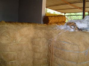 De fibra de coco - Product Image 5