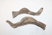 Cuerno de Cabra Natural, Estilo Animal, Material Orgánico, Artículo Coleccionable de Arte, Producto Indio NOORBABA NBI-173