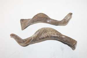 ผลิตภัณฑ์สไตล์เขาแพะธรรมชาติ - Product Image 2