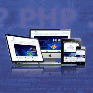 บริษัทพัฒนาเว็บ PHP มืออาชีพในอินเดีย | เว็บไซต์ PHP ที่ได้รับรางวัลและบริการพัฒนาเว็บโดย Webroot Infosoft - Product Image 4