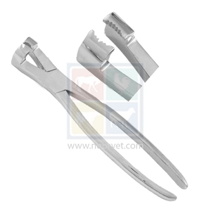 Pinzas Extractoras Dentales Equinas de Acero Inoxidable Garys, Instrumento Quirúrgico Veterinario Modelo 4-630-01, Hecho en Pakistán - Product Image 1