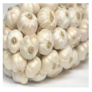 Big Sale: High Quality Vietnamese Garlic
