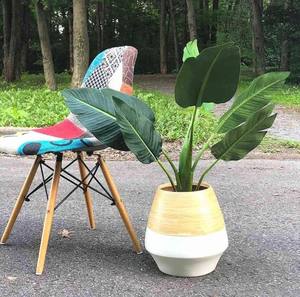 Macetas de plantas de bambú básicas de estilo moderno lindo mini soporte de planta pastel Rosa plantas de interior elegantes de Bambú - Product Image 4