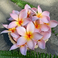Produk Laris dari Thailand Bunga Busa Plumeria Frangipani dengan Cetakan Unik Aksesoris Fashion (Paket 100 Buah)