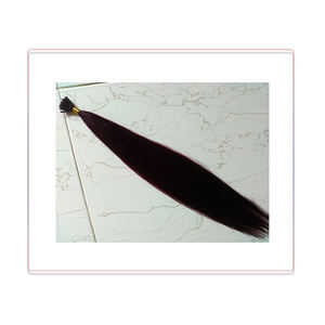 2025 dernier meilleur Remy indien Premium Extensions de cheveux humains achat en vrac produit - Product Image 1