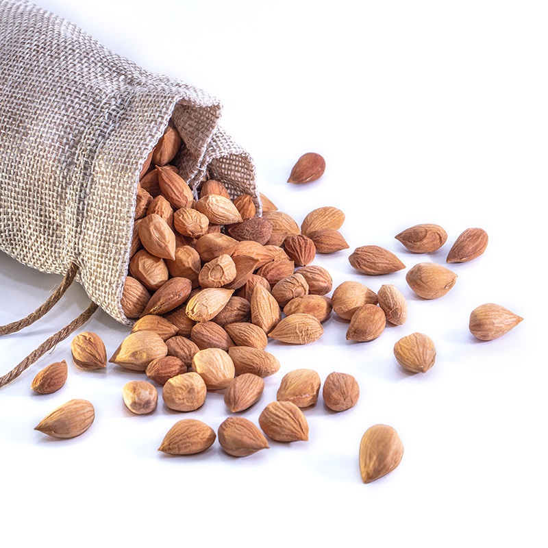 2021 new crop Bitter apricot kernels for sale Sweet apricot kernel