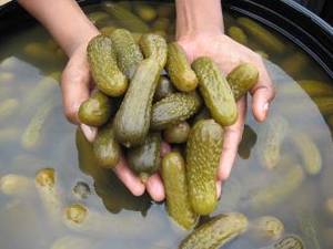 Gherkins transformés dans l'acide acétique - Product Image 5