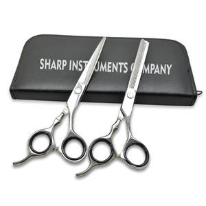 Premium High Quality Japanese Silver Stainless Steel 6.5 Inch Salon Barber Hair Cutting Scissors Set New Hair Extension Tools - Product Image 2