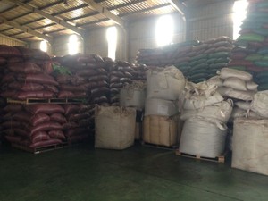 Vente en gros de poivre noir de marque Agrikim 500 GL AD Processus de séchage Frit style vietnamien à faible coût Origine du fabricant + 84 368591192 - Product Image 4